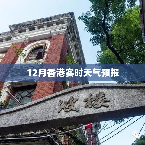 香港十二月实时天气预报概况
