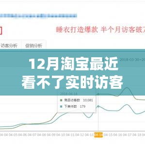 淘宝12月实时访客无法查看，原因解析与解决方案探讨