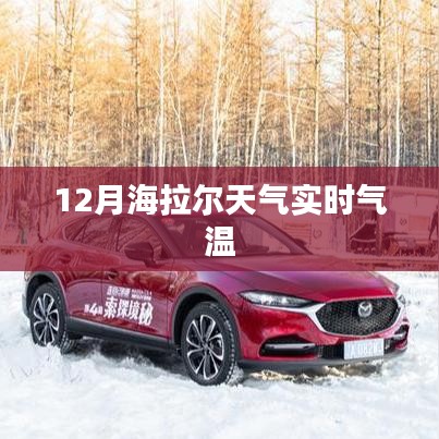 海拉尔实时气温查询，冬季天气预报