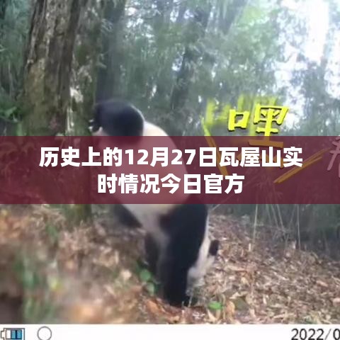 瓦屋山历史实时记录，今日官方揭秘十二月二十七日盛景
