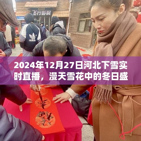 河北雪花飞舞实况直播，冬日雪景尽在眼前