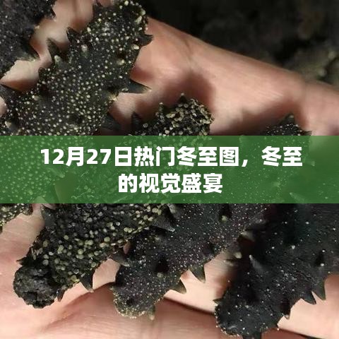 冬至盛宴，节日视觉美图分享