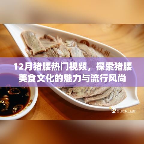 猪腰美食文化，热门视频揭示魅力与流行风尚