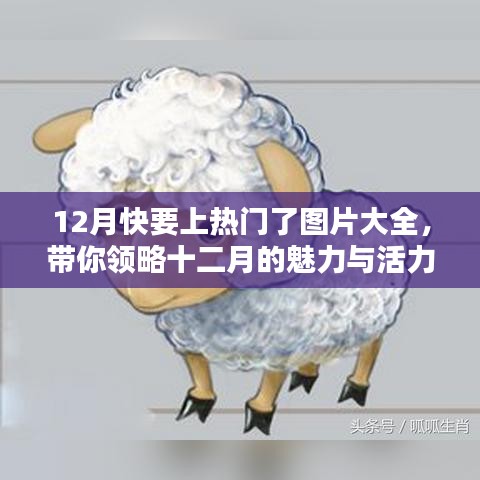公司简介 第151页