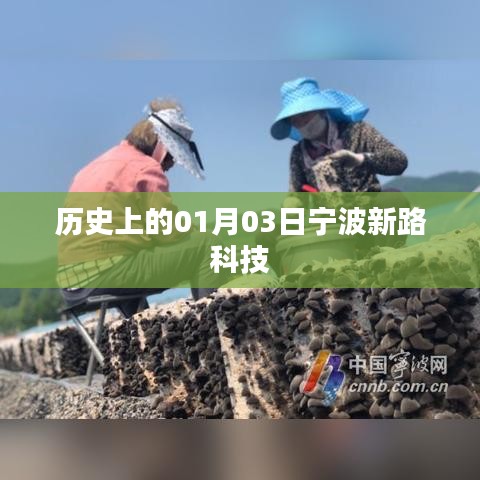 宁波新路科技的历史时刻，一月三日回顾