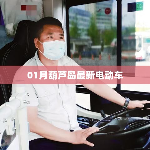 葫芦岛电动车最新资讯