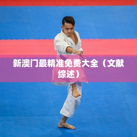 新澳门最精准免费大全（文献综述）