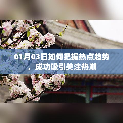 把握热点趋势，引领关注热潮，成功秘诀解析