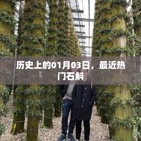 最新热门石斛资讯，历史上的1月3日