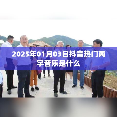 2025年抖音热门两字音乐揭晓