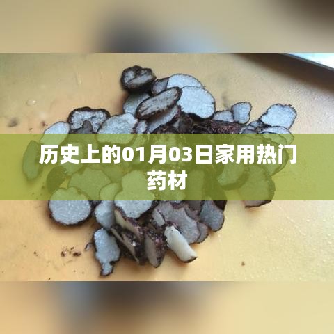 首鼠两端 第2页