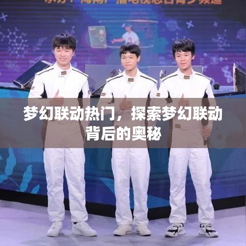 梦幻联动背后的秘密探索，热门联动揭秘