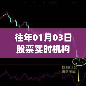 机构股票持仓解析，历年一月初股票动态观察