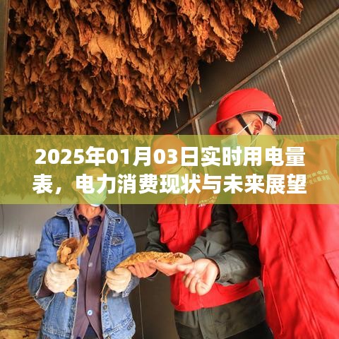 2025年电力消费现状、未来展望及实时用电量表解析