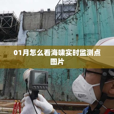 海啸实时监测点图片解析指南
