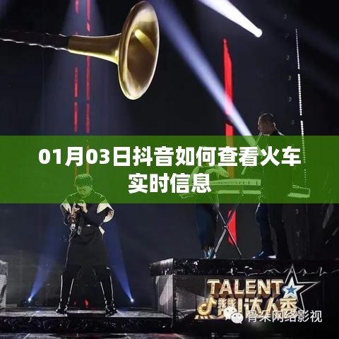 抖音查看火车实时信息攻略，01月03日教程分享