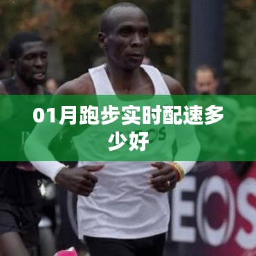 01月跑步最佳实时配速指南