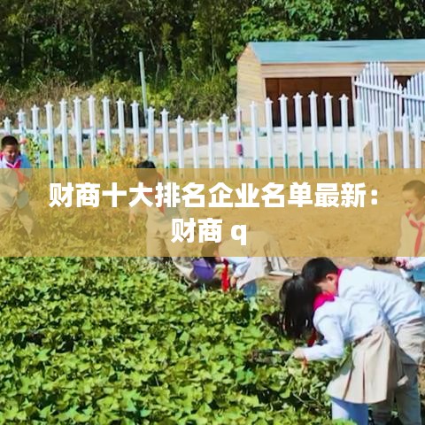 财商十大排名企业名单最新：财商 q 