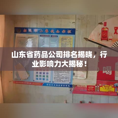 山东省药品公司排名揭晓，行业影响力大揭秘！