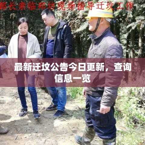最新迁坟公告今日更新，查询信息一览
