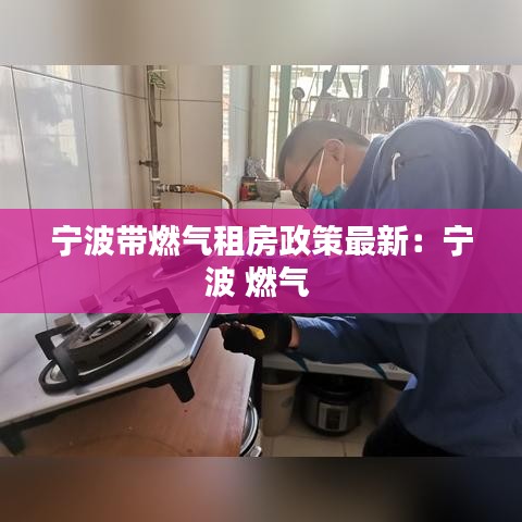 宁波带燃气租房政策最新：宁波 燃气 