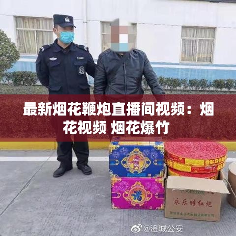 最新烟花鞭炮直播间视频：烟花视频 烟花爆竹 