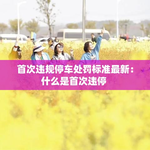 首次违规停车处罚标准最新：什么是首次违停 