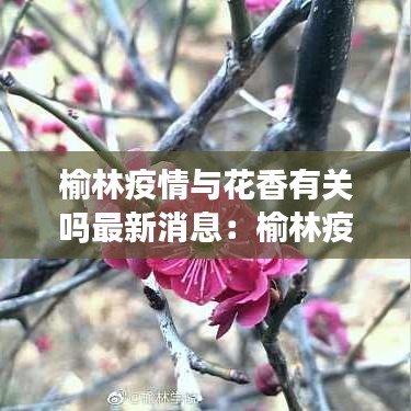 榆林疫情与花香有关吗最新消息：榆林疫情防控最新通知 