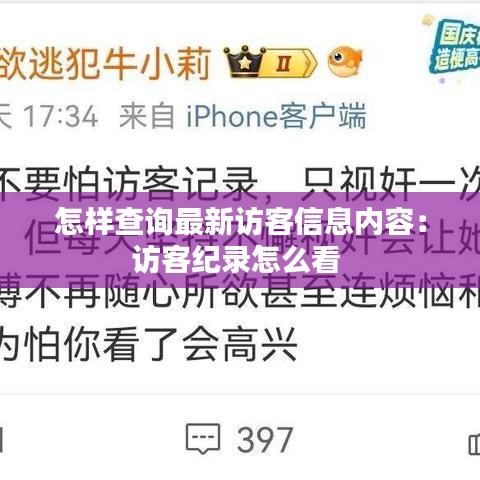 怎样查询最新访客信息内容：访客纪录怎么看 