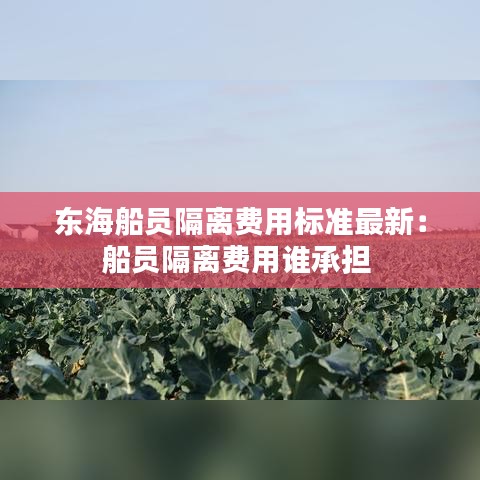 东海船员隔离费用标准最新：船员隔离费用谁承担 