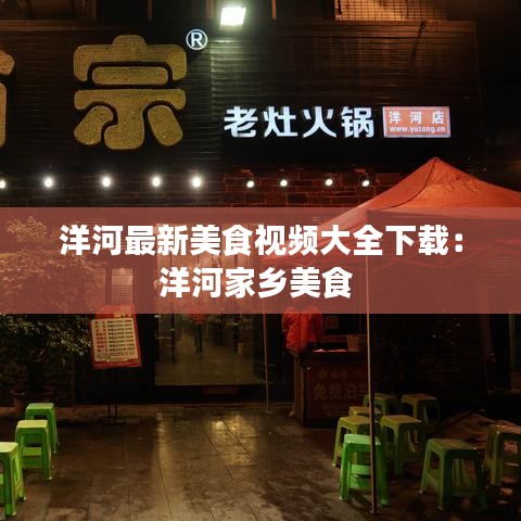 洋河最新美食视频大全下载：洋河家乡美食 