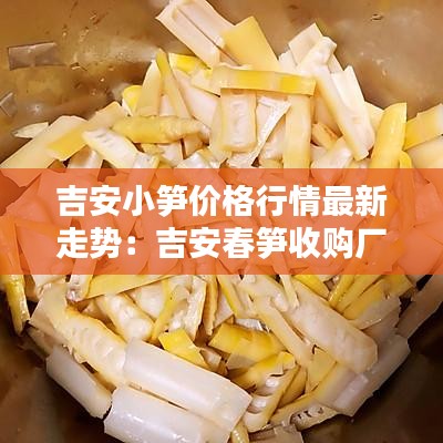 吉安小笋价格行情最新走势：吉安春笋收购厂家联系电话 
