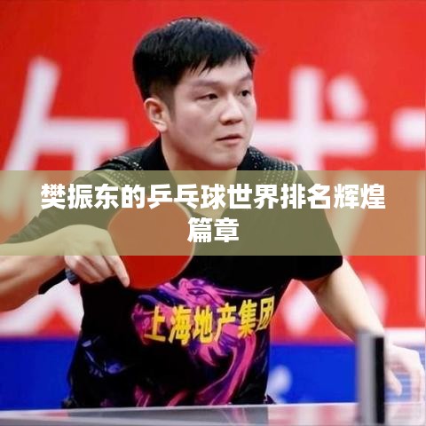 樊振东的乒乓球世界排名辉煌篇章