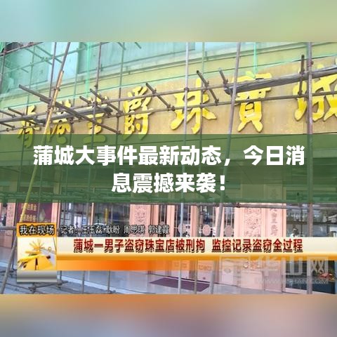蒲城大事件最新动态，今日消息震撼来袭！