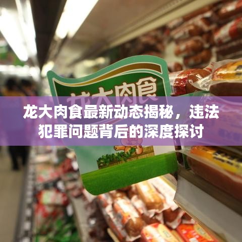 衣不重采 第2页