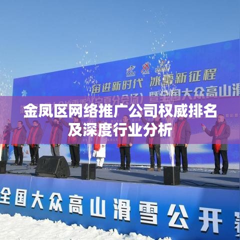 金凤区网络推广公司权威排名及深度行业分析
