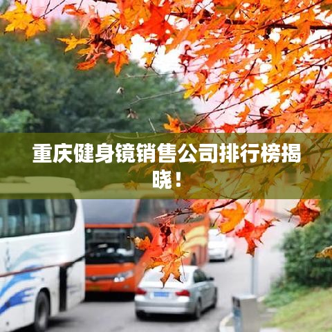 重庆健身镜销售公司排行榜揭晓！