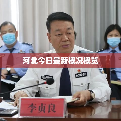 河北今日最新概况概览