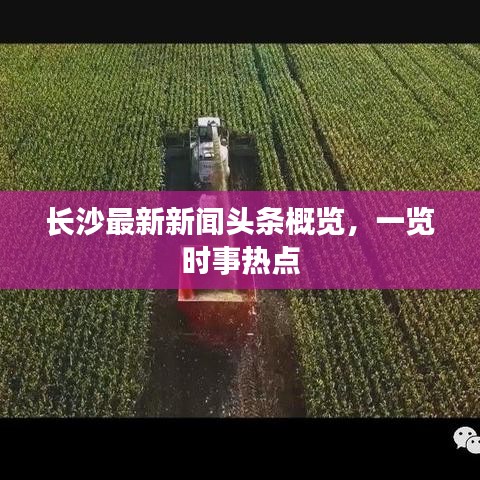 长沙最新新闻头条概览，一览时事热点