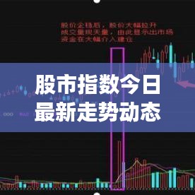 股市指数今日最新走势动态解析