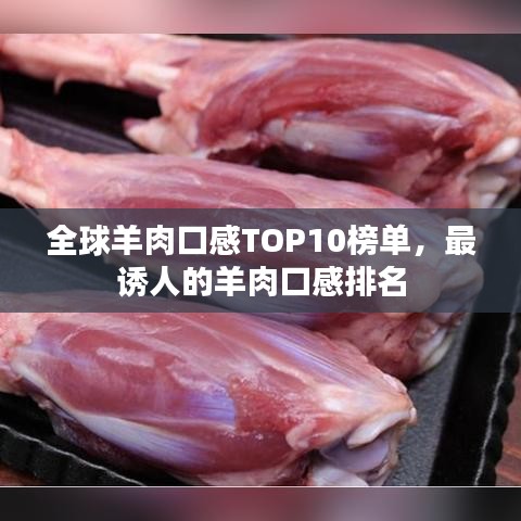 全球羊肉口感TOP10榜单，最诱人的羊肉口感排名