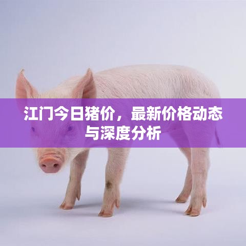 江门今日猪价，最新价格动态与深度分析