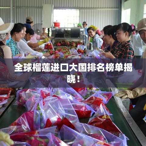 全球榴莲进口大国排名榜单揭晓！
