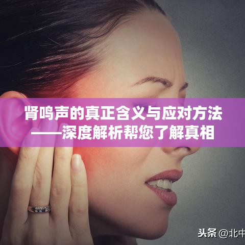 肾鸣声的真正含义与应对方法——深度解析帮您了解真相