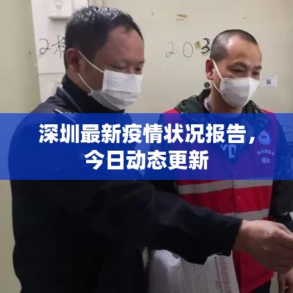 深圳最新疫情状况报告，今日动态更新