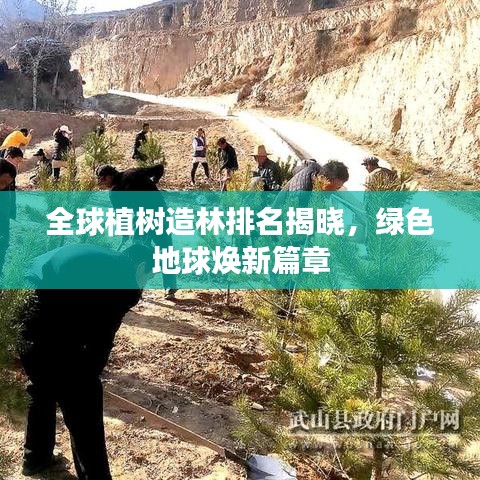 昙花一现 第2页