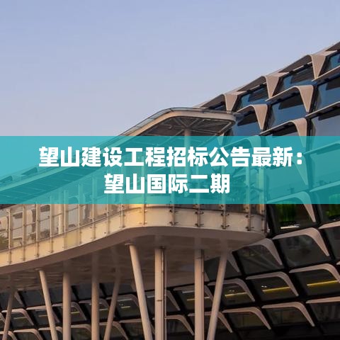 望山建设工程招标公告最新：望山国际二期 