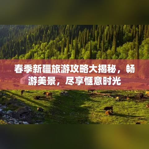 春季新疆旅游攻略大揭秘，畅游美景，尽享惬意时光