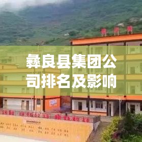 彝良县集团公司排名及影响力深度解析