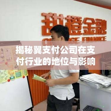 揭秘翼支付公司在支付行业的地位与影响力